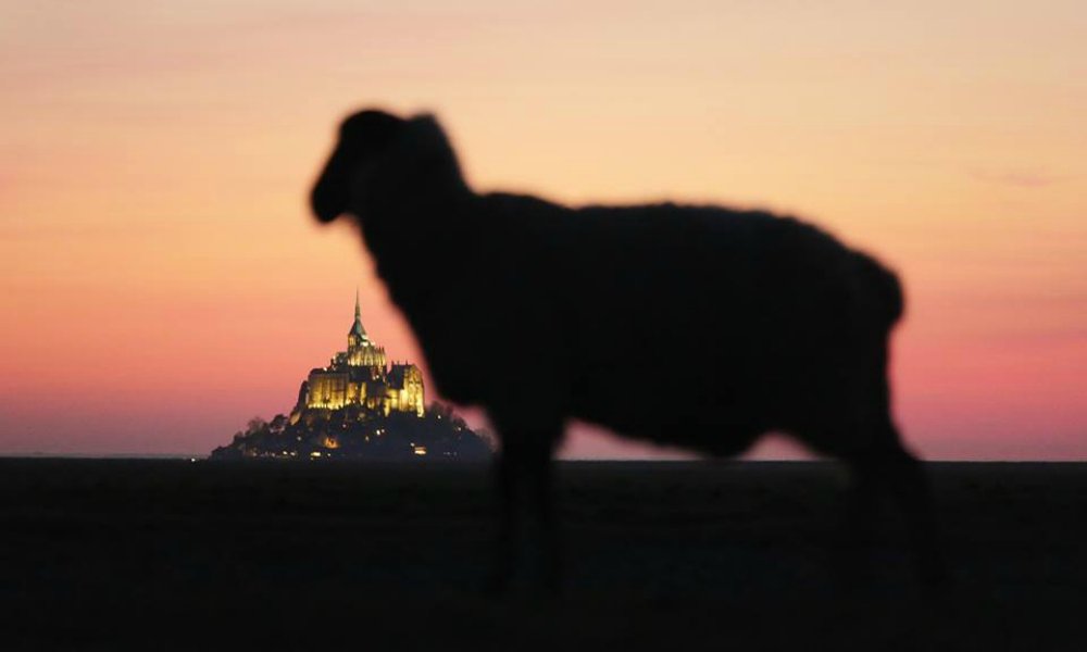 Un deuxième pôle en Normandie !
