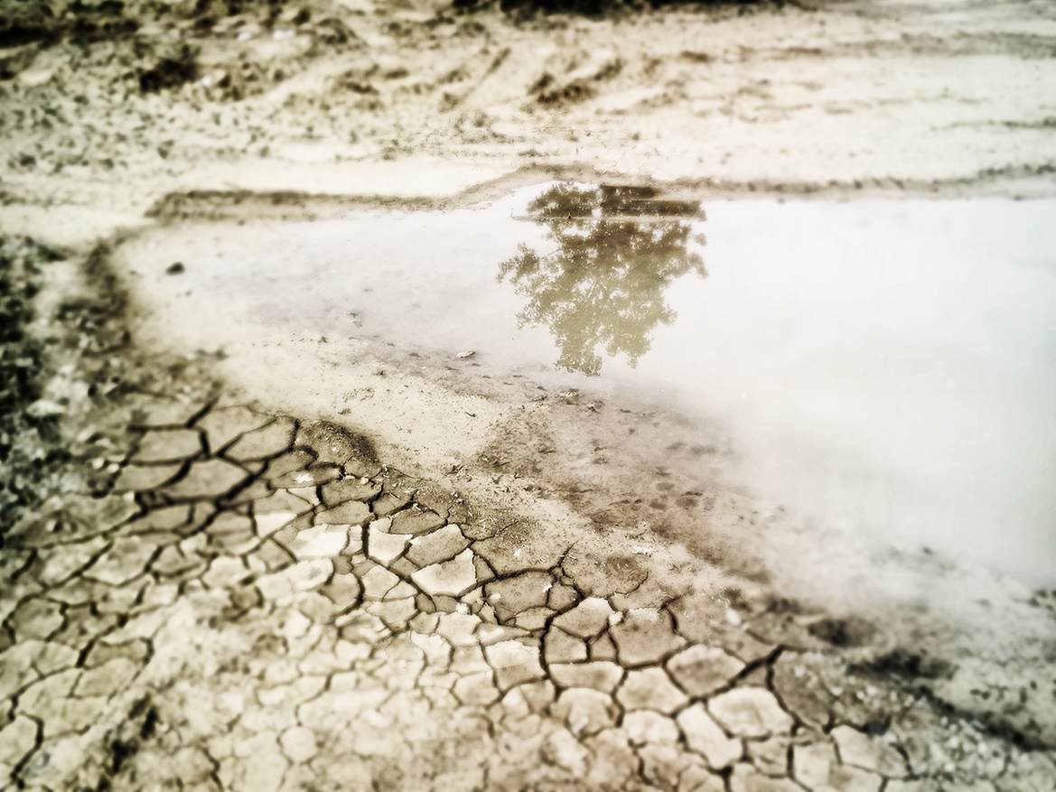 Appel à candidature